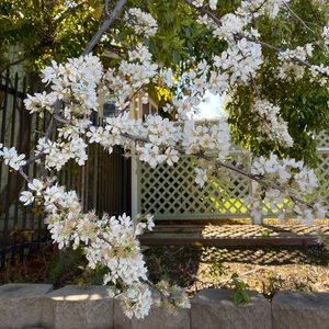 Meet your Posher, Ilaha